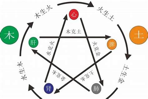 五行木多的人|八字里木太多 八字木太多该怎么化解